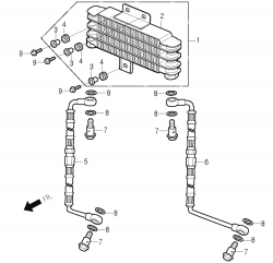 RADIATOR, RADIATOR HOSE