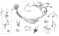 ELECTRICAL / WIRE HARNESS