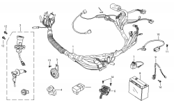 ELECTRICAL / WIRE HARNESS