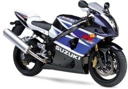 GSX-R 1000 (BZ1(2)111) Bj. 2003