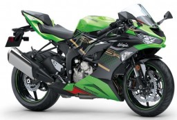 ZX-6R 636 G (ZX636GGA) Bj. 2019 - 2020