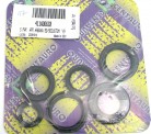 OIL SEAL SET ENGINE APRILIA HABANA