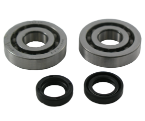 Ball bearings and seal ring kit Piaggio-Gilera 50cc.