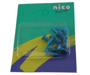 SCREW TRUST HEAD 10 PCS/SET BLUE