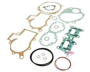 Dichtsatz Motor F125 ohne Siri u. Variatordeckeldichtung