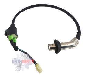 IGNITION COIL ASSY (VIN: W2D...)