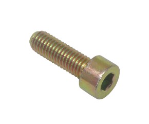 BOLT, SOCKET 8MM